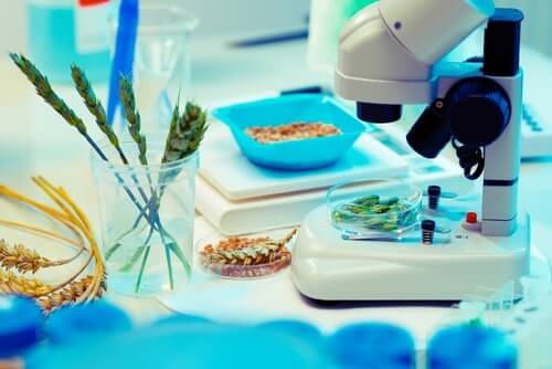 gmo foods in a lab 1 1