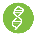 DNA Icon